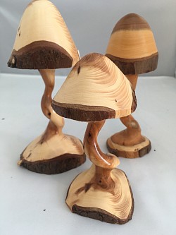 Turned and carved mushrooms with a twisted stem