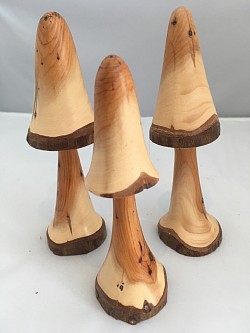 Turned fungi in yew wood